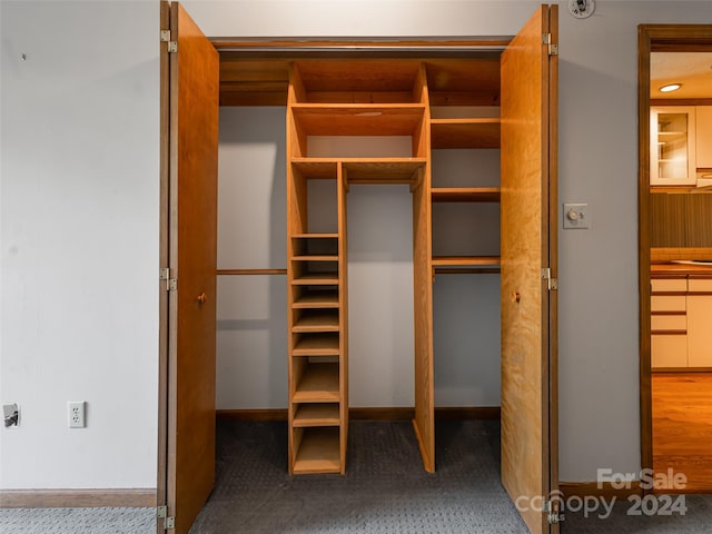 view of closet