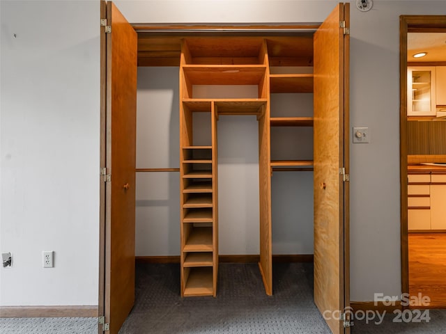 38 Ravencroft Ln Unit E, Asheville, NC 28803 - view of closet