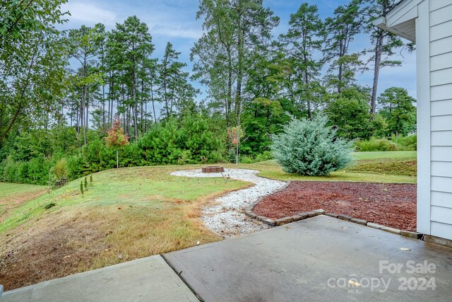 view of yard featuring a patio area