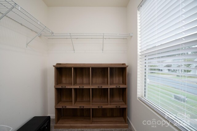 spacious closet featuring carpet flooring