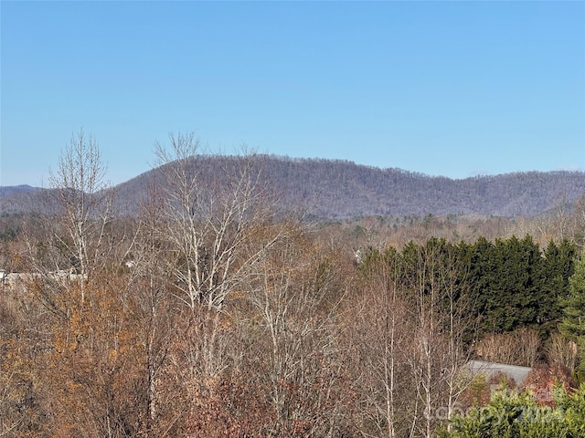 property view of mountains