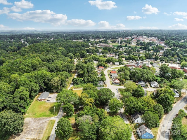 bird's eye view