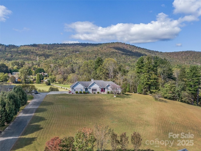 bird's eye view featuring a mountain view and a rural view