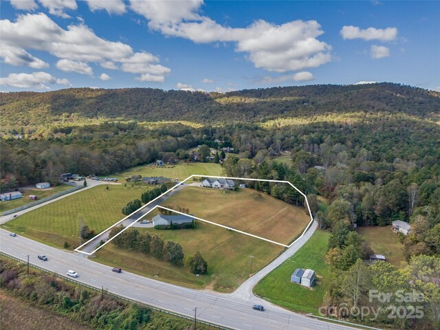 8124 Boylston Hwy, Mills River, NC 28759 - photo 8