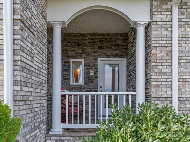 8124 Boylston Hwy, Mills River, NC 28759 - photo 34