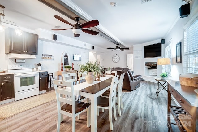 dining area with ceiling fan, light hardwood / wood-style flooring, and ornamental molding