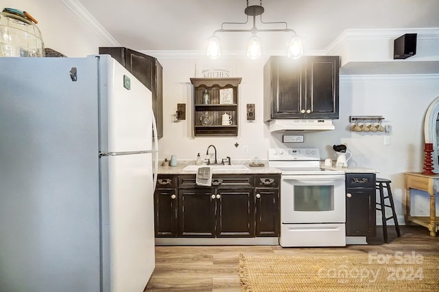 kitchen featuring hanging light fixtures, light hardwood / wood-style floors, white appliances, ornamental molding, and sink