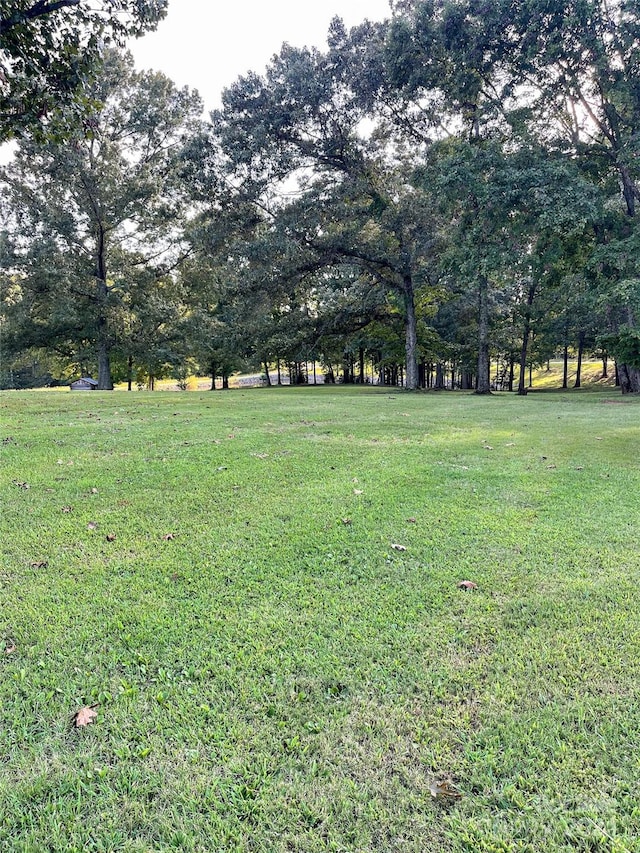1610 Sierra Rd, York, SC 29745 - view of yard
