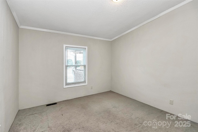 unfurnished room with carpet and a textured ceiling