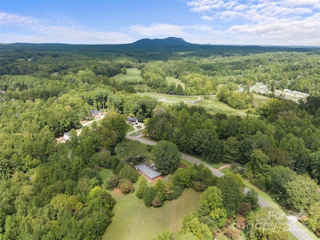 bird's eye view featuring a mountain view