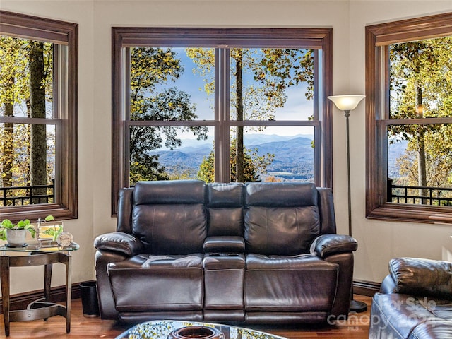 living room with a mountain view, hardwood / wood-style flooring, and a healthy amount of sunlight