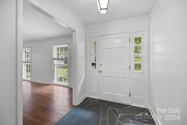 entrance foyer with dark hardwood / wood-style floors