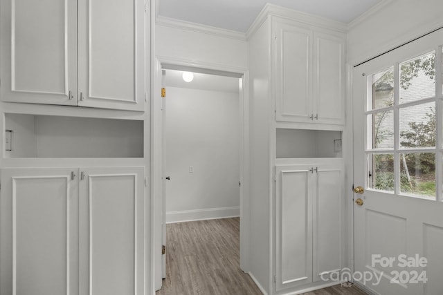 washroom featuring light hardwood / wood-style floors and crown molding