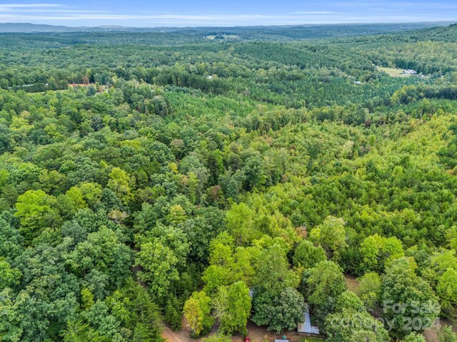 000 Padgett Rd, Union Mills, NC 28167 - photo 4