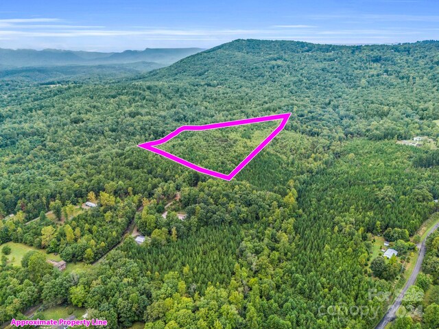 000 Padgett Rd, Union Mills, NC 28167 - photo 6