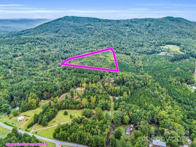 000 Padgett Rd, Union Mills, NC 28167 - photo 7