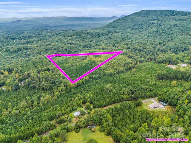 000 Padgett Rd, Union Mills, NC 28167 - photo 8