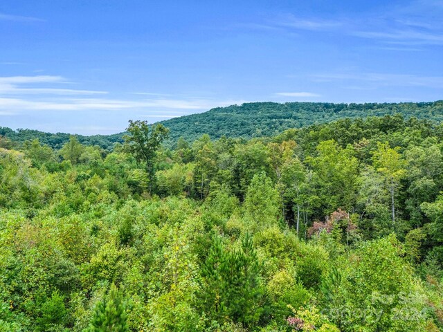 000 Padgett Rd, Union Mills, NC 28167 - photo 9