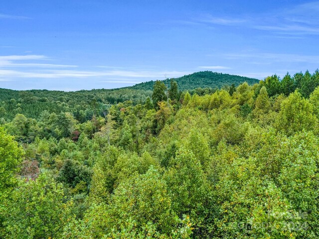 000 Padgett Rd, Union Mills, NC 28167 - photo 10