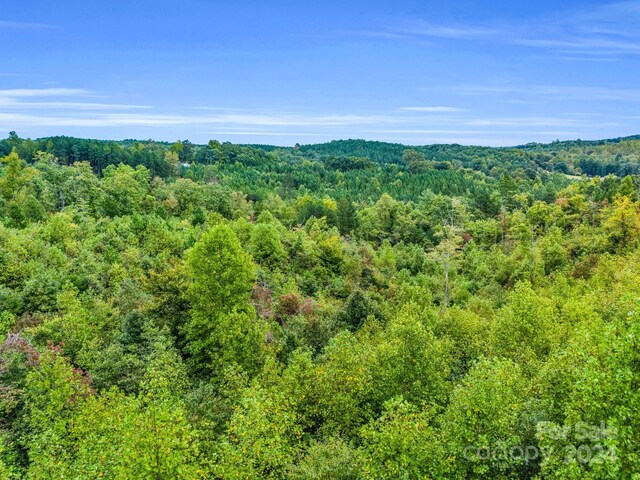 000 Padgett Rd, Union Mills, NC 28167 - photo 11