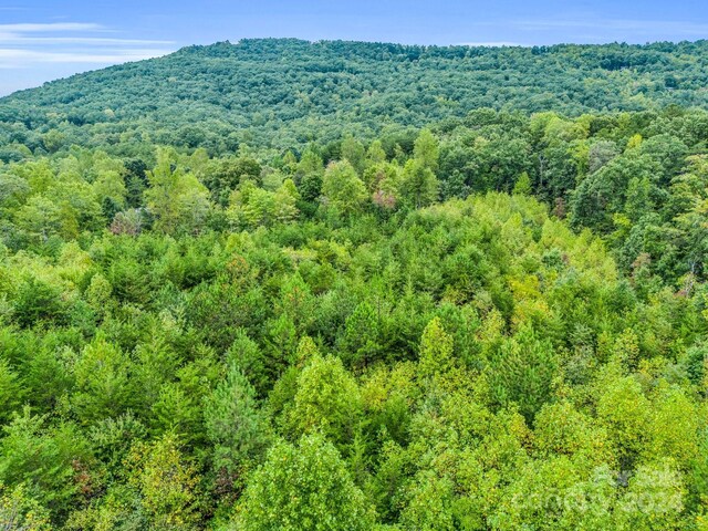 000 Padgett Rd, Union Mills, NC 28167 - photo 12