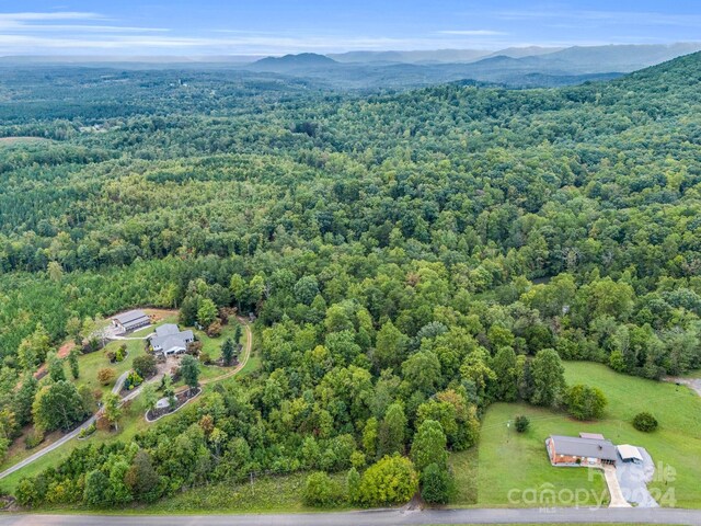 000 Padgett Rd, Union Mills, NC 28167 - photo 13