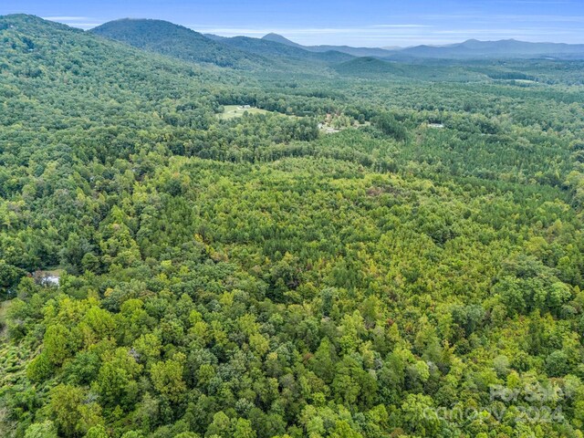 000 Padgett Rd, Union Mills, NC 28167 - photo 17