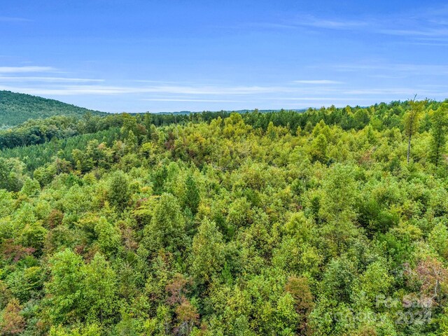 000 Padgett Rd, Union Mills, NC 28167 - photo 20