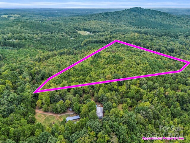 000 Padgett Rd, Union Mills, NC 28167 - photo 1
