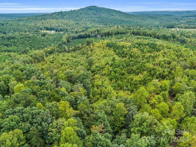 000 Padgett Rd, Union Mills, NC 28167 - photo 3
