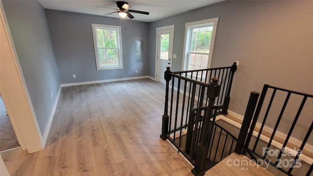 stairs featuring ceiling fan and wood-type flooring