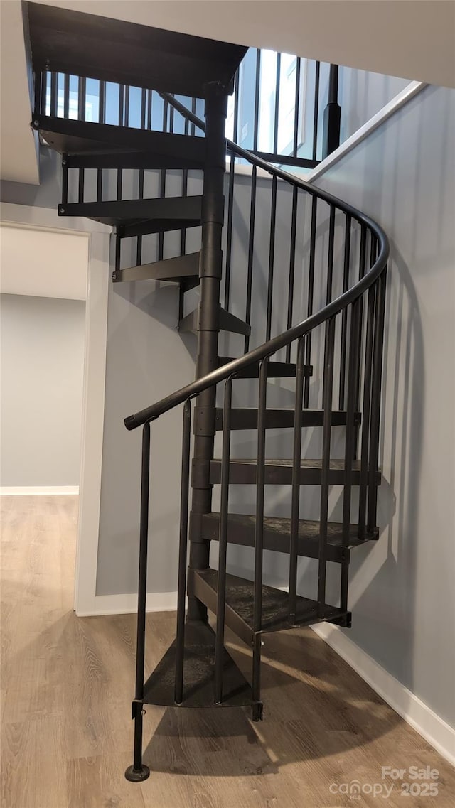 stairway featuring hardwood / wood-style floors