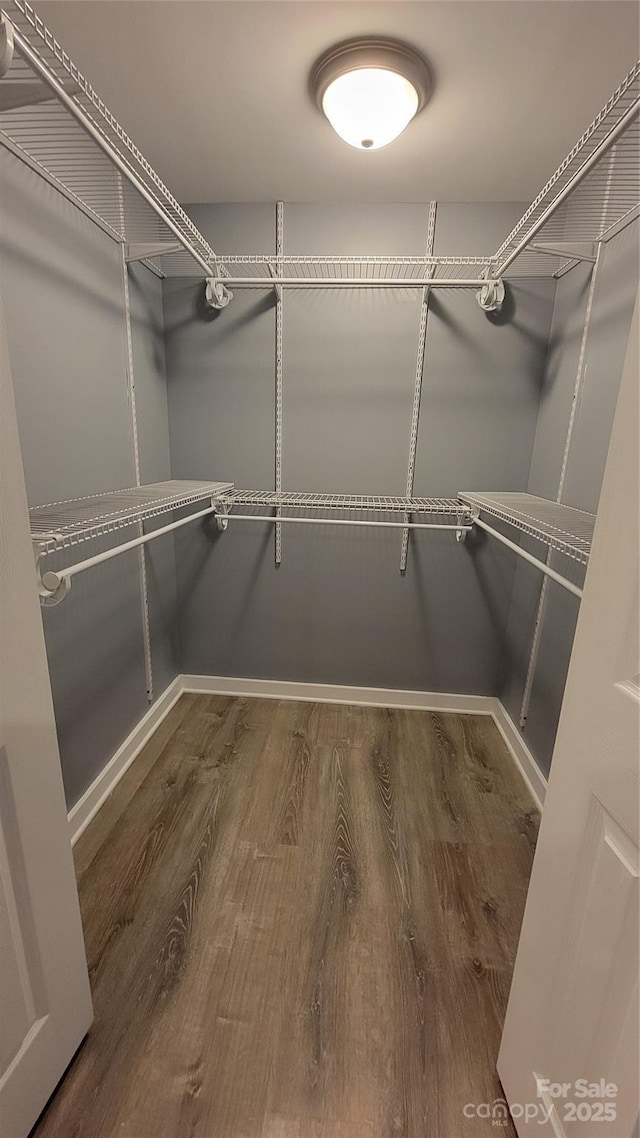 walk in closet with wood-type flooring