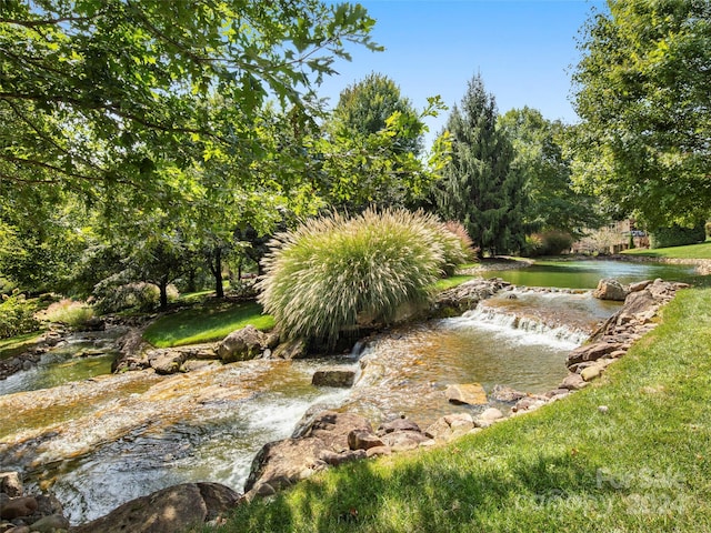 4 Windelsham Way, Arden, NC 28704 - view of yard