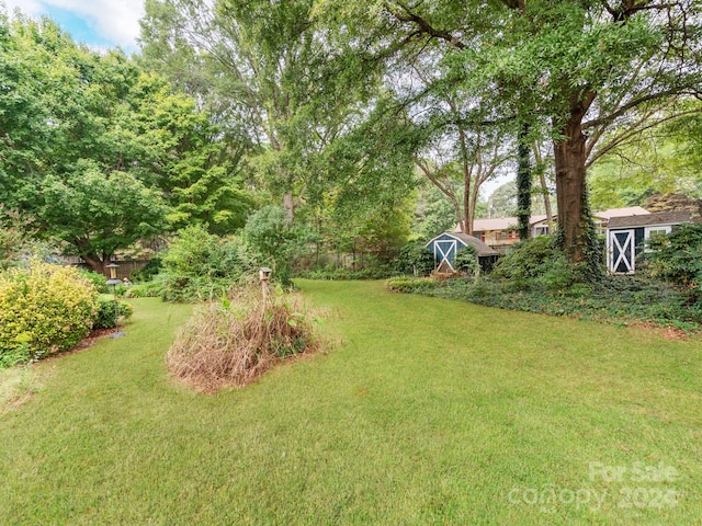 view of yard with a storage shed