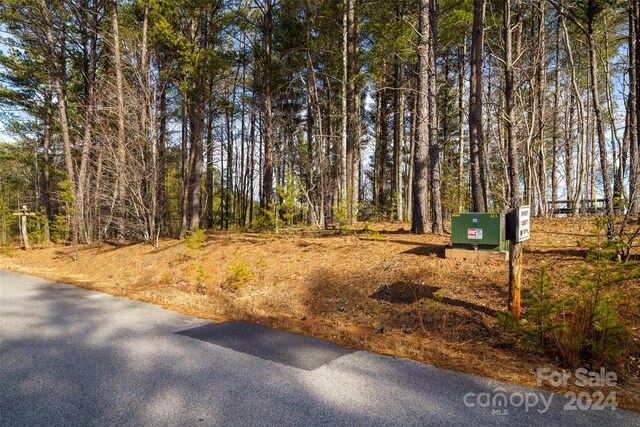 Listing photo 3 for 1504 Pisgah Preserve Rd Unit 6, Nebo NC 28761