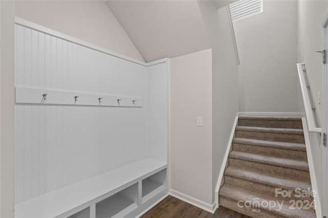 mudroom featuring lofted ceiling and dark hardwood / wood-style floors