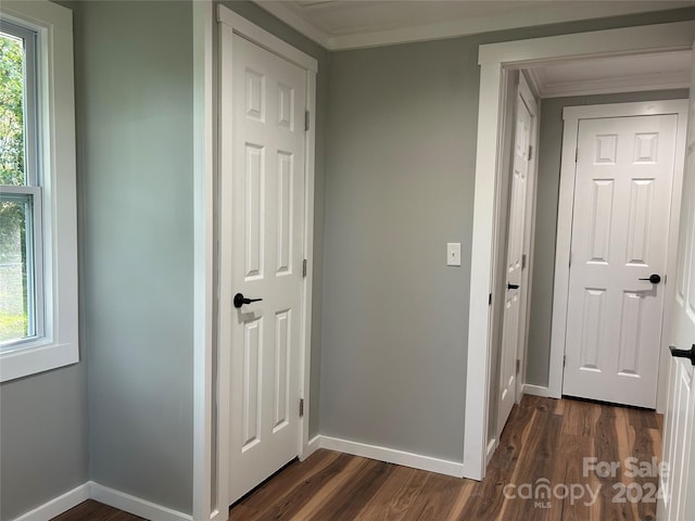 corridor featuring ornamental molding and dark wood-type flooring