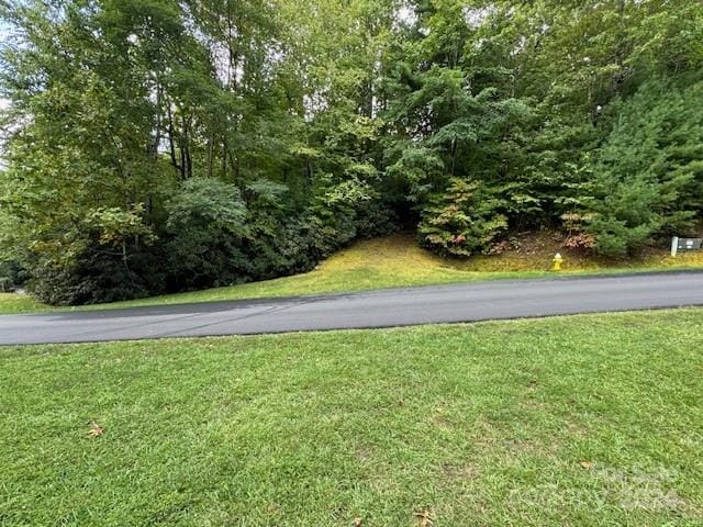 Listing photo 2 for 000 Gateway Dr Unit 10, Hendersonville NC 28739