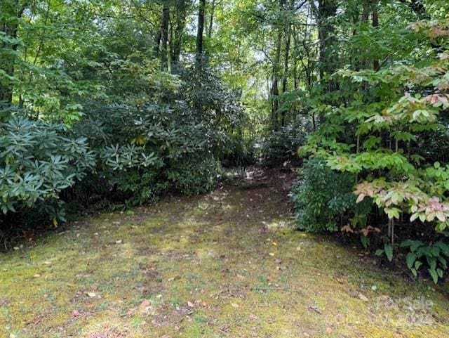 Listing photo 3 for 000 Gateway Dr Unit 10, Hendersonville NC 28739