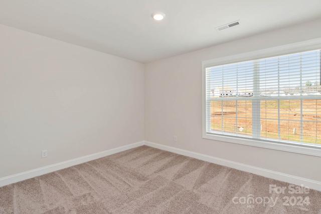 view of carpeted spare room