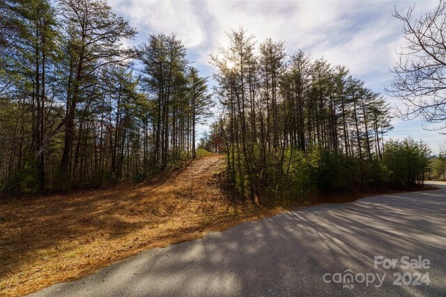 Listing photo 2 for 1690 Pisgah Preserve Drive 40 & 41, Nebo NC 28761