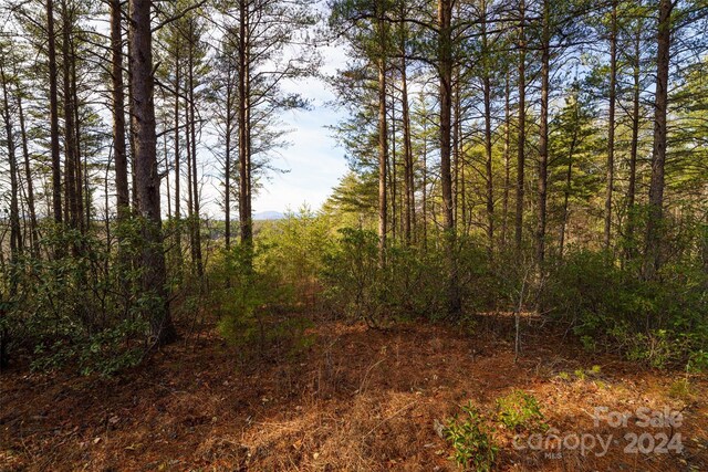 Listing photo 3 for 1690 Pisgah Preserve Drive 40 & 41, Nebo NC 28761