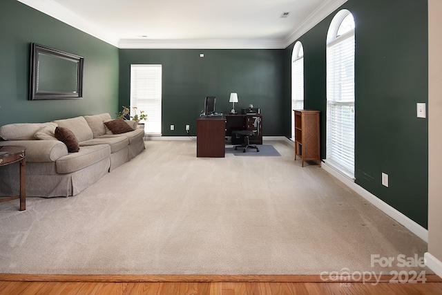 office space featuring crown molding and light colored carpet