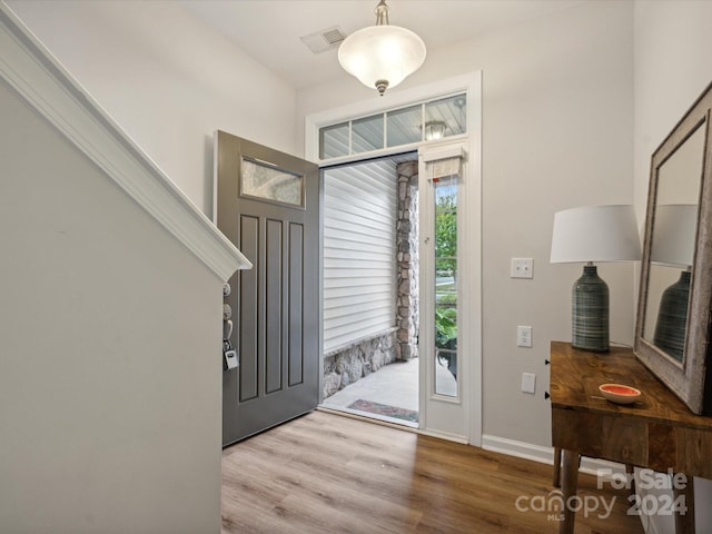 foyer entrance with wood-type flooring