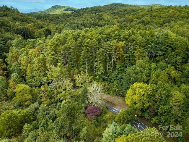 Listing photo 2 for TBD Homer Mccall Rd, Lake Toxaway NC 28747