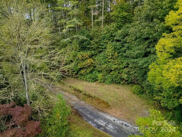 Listing photo 3 for TBD Homer Mccall Rd, Lake Toxaway NC 28747