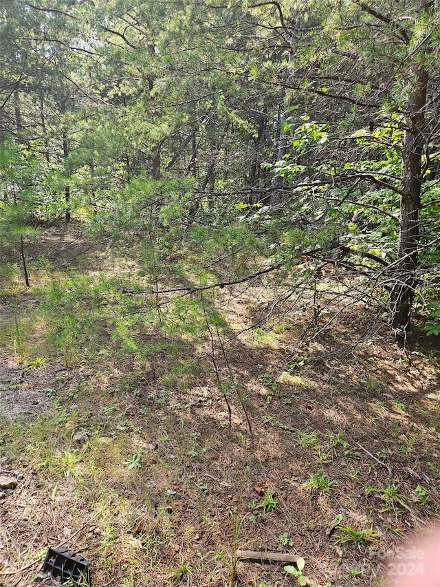 0 Pumkin Patch, Rutherfordton, NC 28139 - photo 8