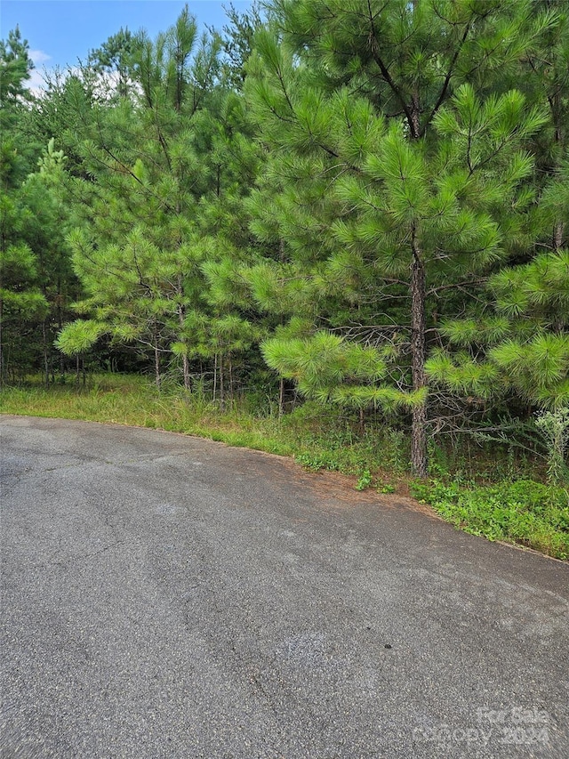 0 Pumkin Patch, Rutherfordton, NC 28139 - photo 9