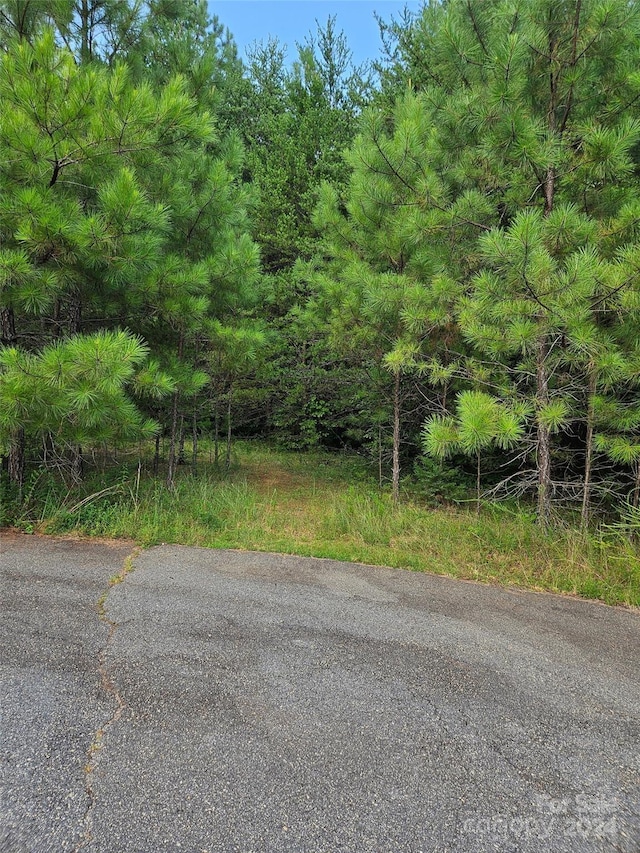 0 Pumkin Patch, Rutherfordton, NC 28139 - photo 1
